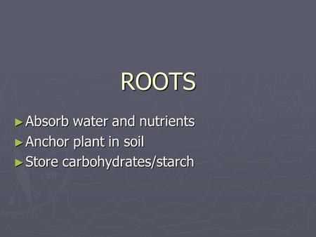 ROOTS ► Absorb water and nutrients ► Anchor plant in soil ► Store carbohydrates/starch.