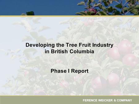 FERENCE WEICKER & COMPANY Developing the Tree Fruit Industry in British Columbia Phase I Report.