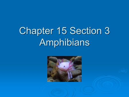 Chapter 15 Section 3 Amphibians. Standard: The anatomy and physiology of animals illustrate the complementary nature of structure and function EQ: Explain.