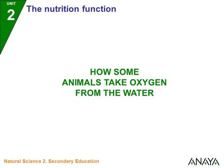 UNIT 2 The nutrition function Natural Science 2. Secondary Education HOW SOME ANIMALS TAKE OXYGEN FROM THE WATER.