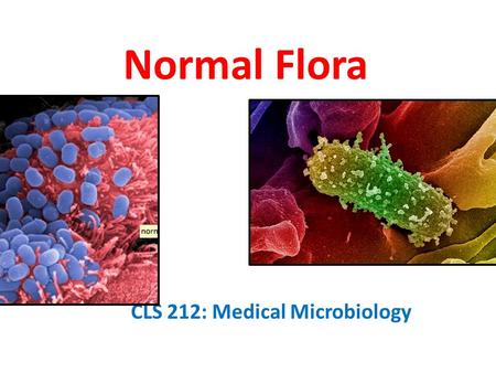 CLS 212: Medical Microbiology