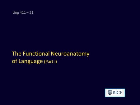 The Functional Neuroanatomy of Language (Part I) Ling 411 – 21.