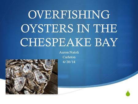  OVERFISHING OYSTERS IN THE CHESPEAKE BAY Aaron Natoli Carleton 4/20/14.