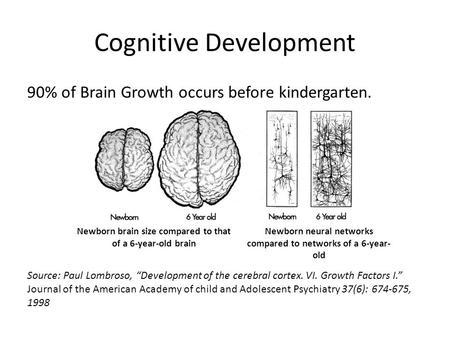 Cognitive Development 90% of Brain Growth occurs before kindergarten. Source: Paul Lombroso, “Development of the cerebral cortex. VI. Growth Factors I.”