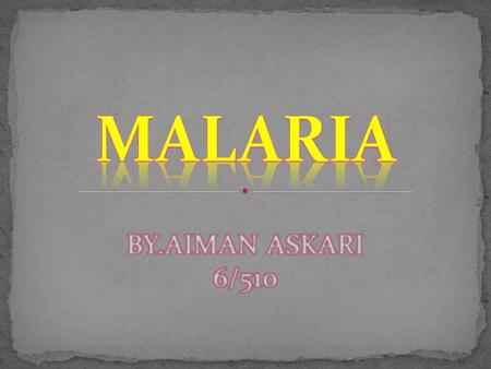 Symptoms of malaria include periodic chills, fever, headache,and sweating, and sweating,kidney problems, liver, damage,brain, problems, problems.