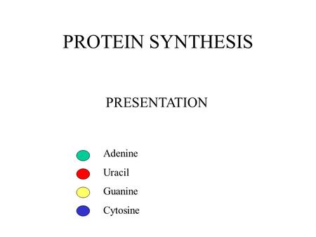 PROTEIN SYNTHESIS PRESENTATION Adenine Uracil Guanine Cytosine.