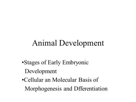 Animal Development Stages of Early Embryonic Development