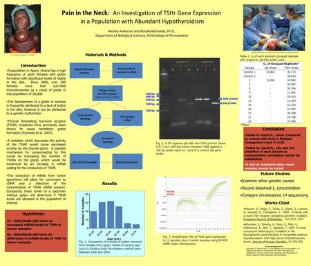 Pain in the Neck: An Investigation of TSHr Gene Expression in a Population with Abundant Hypothyroidism Wesley Anderson and Ronald Kaltreider, Ph.D. Department.