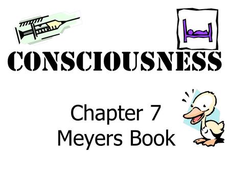 Consciousness Chapter 7 Meyers Book Circadian Rhythms.