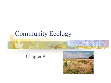 Community Ecology Chapter 9. Succession Temporal patterns in communities Replacement of species by others within particular habitat (colonization and.