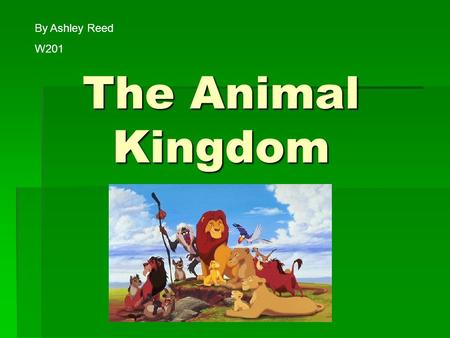 The Animal Kingdom By Ashley Reed W201 W201. What is the Animal Kingdom??  All the different types of animals on earth  How we classify the animals,