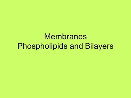 Membranes Phospholipids and Bilayers. What do cell membranes consist of? Experiment: ABCDEF 10 cc of milk 10 cc of vinegar 10 cc of oil 10 cc of vinegar.