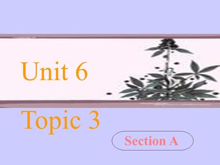 Section A Unit 6 Topic 3. Revision 1. 收到你的明信片 2. 去探险 3. 享受某人旅行的乐趣 4. 度假 5. 渴望遇见他 6. 去旅行 7. 迷路 8. 勘察地形 9. 在古代 receive your postcard go exploring enjoy.