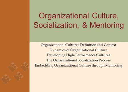 Organizational Culture, Socialization, & Mentoring