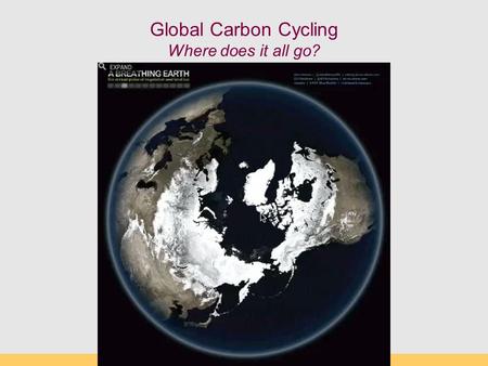 Global Carbon Cycling Where does it all go?. Main Concepts Pre-anthropogenic CO 2 fluxes in and out Current CO 2 fluxes What are C reservoirs? Carbon.