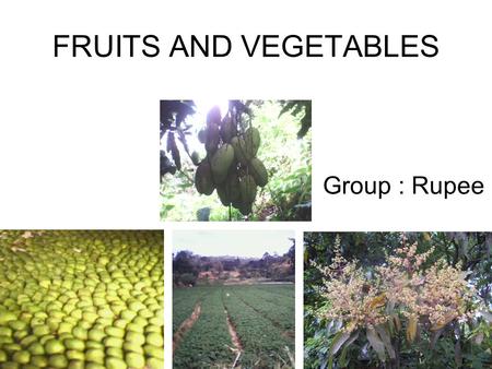 FRUITS AND VEGETABLES Group : Rupee.