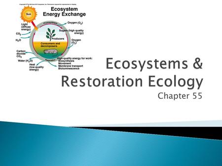 Chapter 55. 1. I can explain how energy regulates the amount and sizes of trophic levels. 1. I can describe the fundamental relationship between autotrophs,