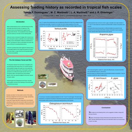 When analyzed together, scales of A. gigas with different sizes, showed a trend that was opposite that found for O. bicirrhosum. Because scales from different.