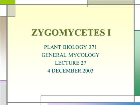 PLANT BIOLOGY 371 GENERAL MYCOLOGY LECTURE 27 4 DECEMBER 2003