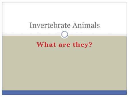 What are they? Invertebrate Animals. Invertebrates Animals that do not have a backbone or any bone tissue. Most are limited in size because of support.