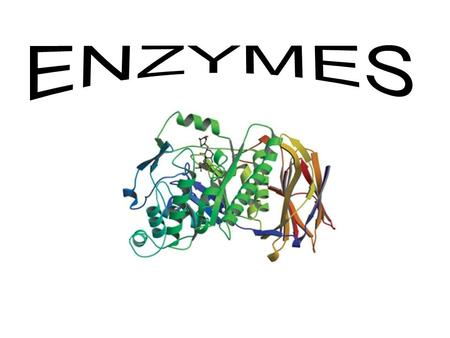 Learning Outcomes B11- analyse the roles of enzymes in biochemical reactions explain the following terms: metabolism, enzyme, substrate, coenzyme, activation.