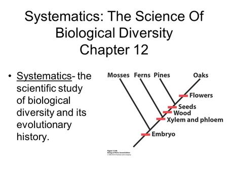 Systematics: The Science Of Biological Diversity Chapter 12