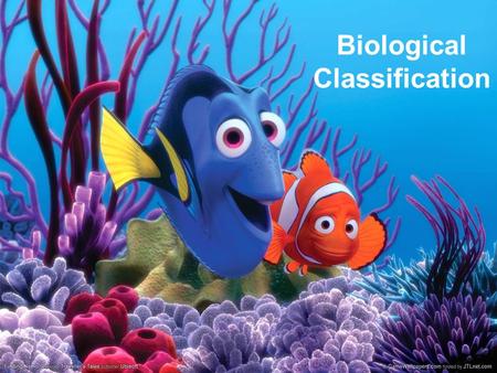 Biological Classification. Why Classify? To study the diversity of life, biologists use classification systems to group organisms according to evolutionary.