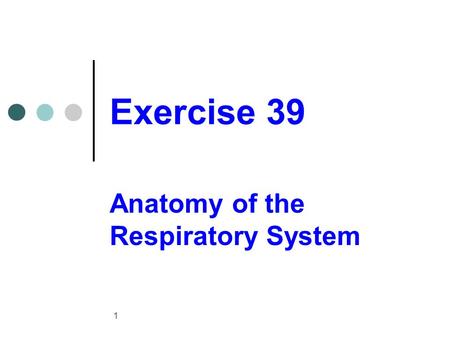 Anatomy of the Respiratory System