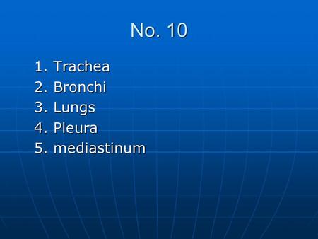 No. 10 1. Trachea 2. Bronchi 3. Lungs 4. Pleura 5. mediastinum.