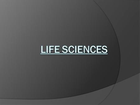 CHARACTERISTICS OF LIVING THINGS  Organisms are HIGHLY ORGANIZED. All organisms are made up of the same basic components, kind of building blocks: CELLS.