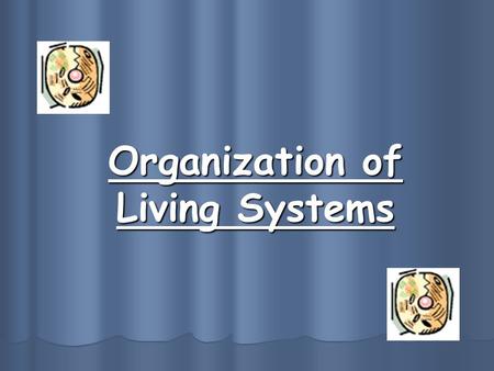 Organization of Living Systems. I. Characteristics of Life What makes something alive? -has an orderly structure -reproduces -grows and develops -adjusts.