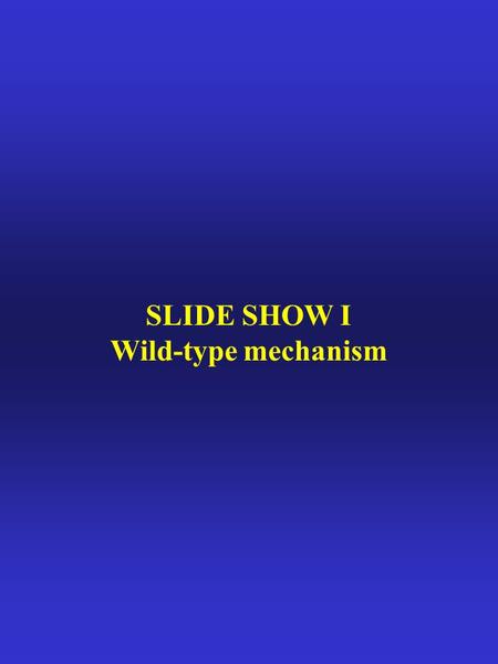 SLIDE SHOW I Wild-type mechanism K 319 - - + - + C E 325 H 322 D 240 R E 126 148 144 IV VII V - E 269 VIII + R 302 IX X A. In the ground state the permease.