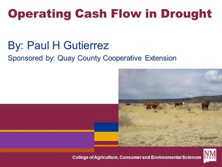 College of Agriculture, Consumer and Environmental Sciences Operating Cash Flow in Drought By: Paul H Gutierrez Sponsored by: Quay County Cooperative Extension.