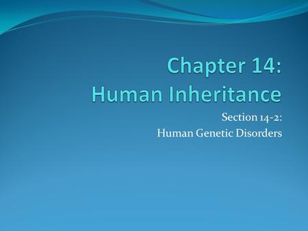 Chapter 14: Human Inheritance