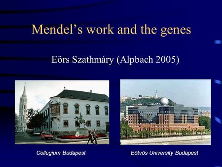 Mendel’s work and the genes Collegium BudapestEötvös University Budapest Eörs Szathmáry (Alpbach 2005)