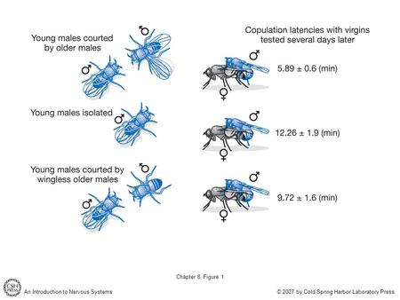 An Introduction to Nervous Systems © 2007 by Cold Spring Harbor Laboratory Press. Chapter 8, Figure 1.