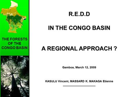 THE FORESTS OF THE CONGO BASIN R.E.D.D IN THE CONGO BASIN A REGIONAL APPROACH ? Gamboa, March 12, 2009 KASULU Vincent, MASSARD K. MAKAGA Etienne ____________________.