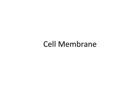 Cell Membrane.