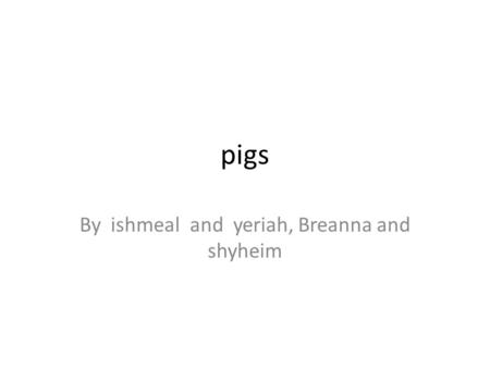 Pigs By ishmeal and yeriah, Breanna and shyheim. What makes a pig a pig Because of there snout and there.