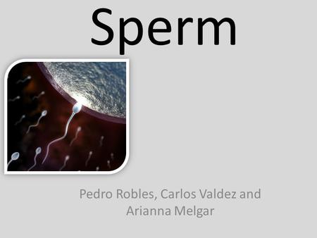 Sperm Pedro Robles, Carlos Valdez and Arianna Melgar.