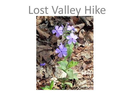 Lost Valley Hike. Students will hike about 1 ½ miles round trip along the Eden Falls Trail to learn about the importance of natural surroundings and the.