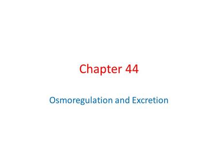 Osmoregulation and Excretion