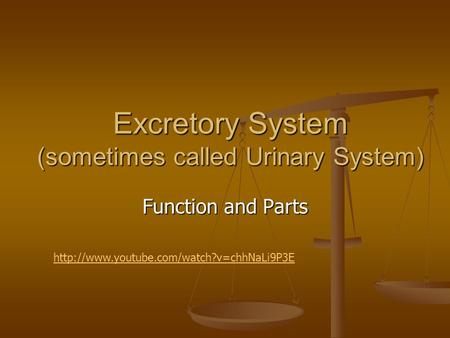 Excretory System (sometimes called Urinary System)