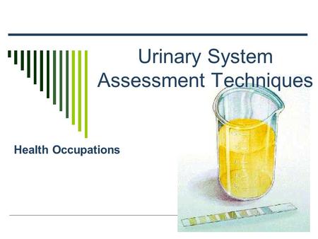 Urinary System Assessment Techniques Health Occupations.