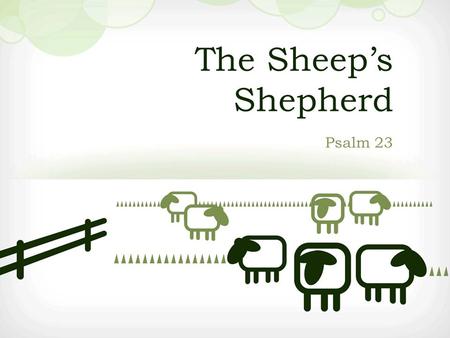 The Sheep’s Shepherd Psalm 23. Shepherds have long cared greatly about their sheep.