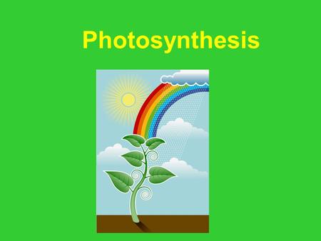 Photosynthesis.