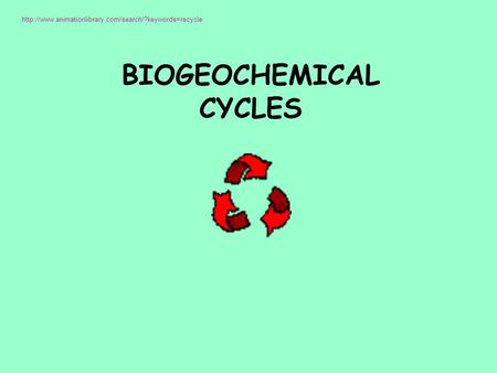 BIOGEOCHEMICAL CYCLES