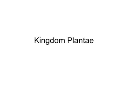 Kingdom Plantae.