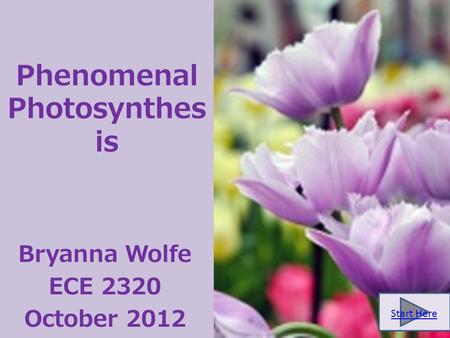 Phenomenal Photosynthes is Bryanna Wolfe ECE 2320 October 2012 Start Here.