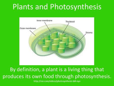 By definition, a plant is a living thing that produces its own food through photosynthesis.  Plants and Photosynthesis.